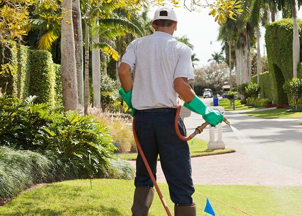 About Madill OK Pest Control